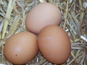 free range eggs on the doorstep