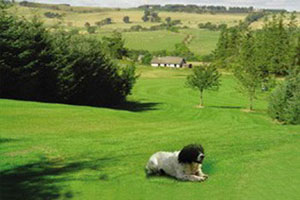 lilliesleaf golf course