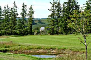 looking from the golf course